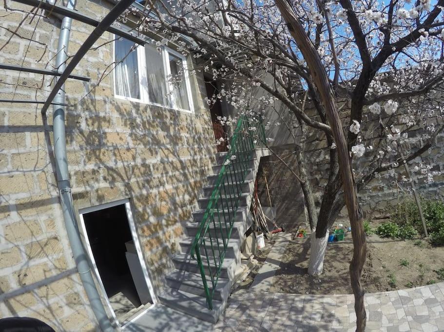 B27: Studio+BDR w/big Garden away from city heat!