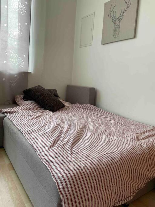 Ruhige, gemütliche 1-Zimmer-Wohnung nahe FFM