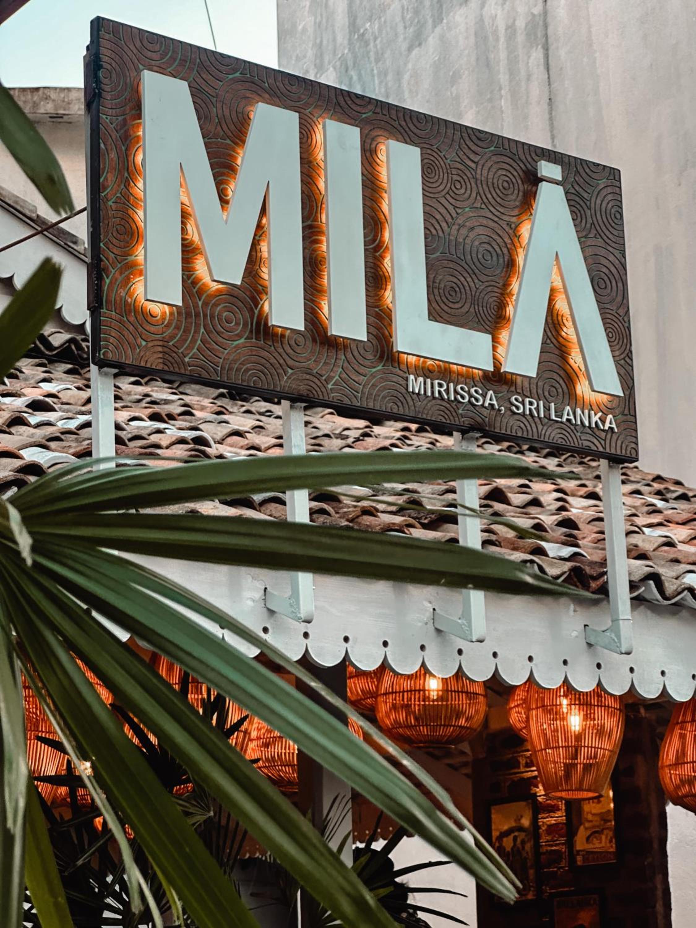 Photo 58