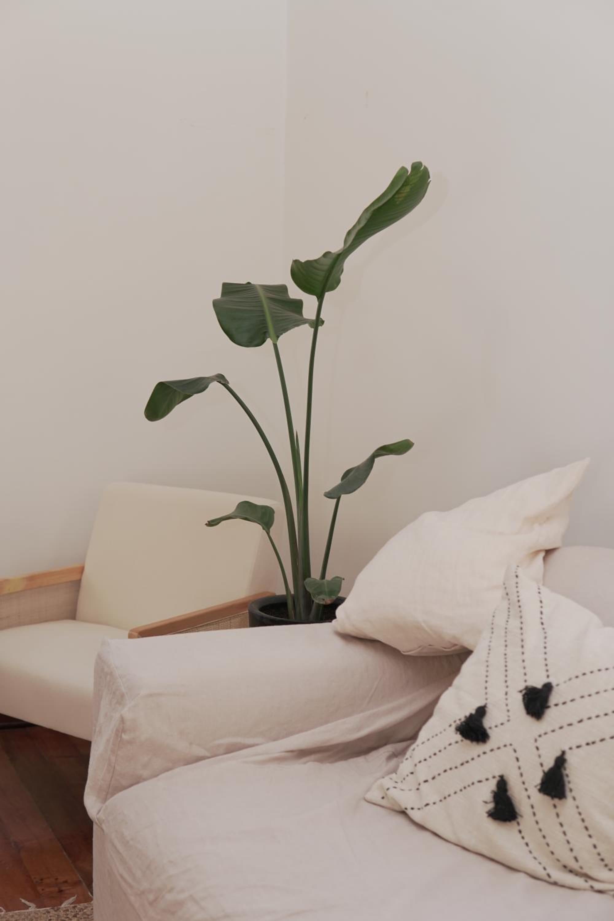 La Posada Coliving
