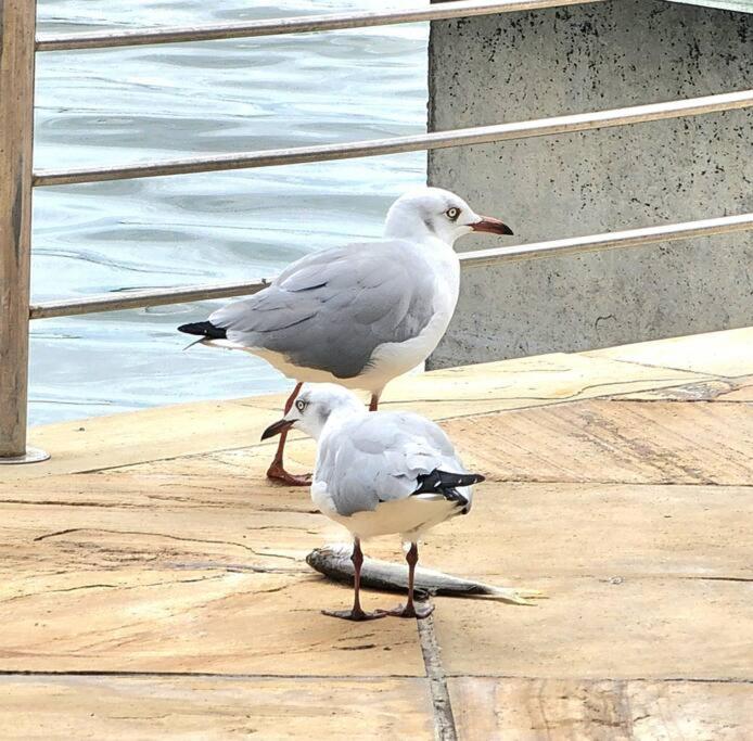 other
