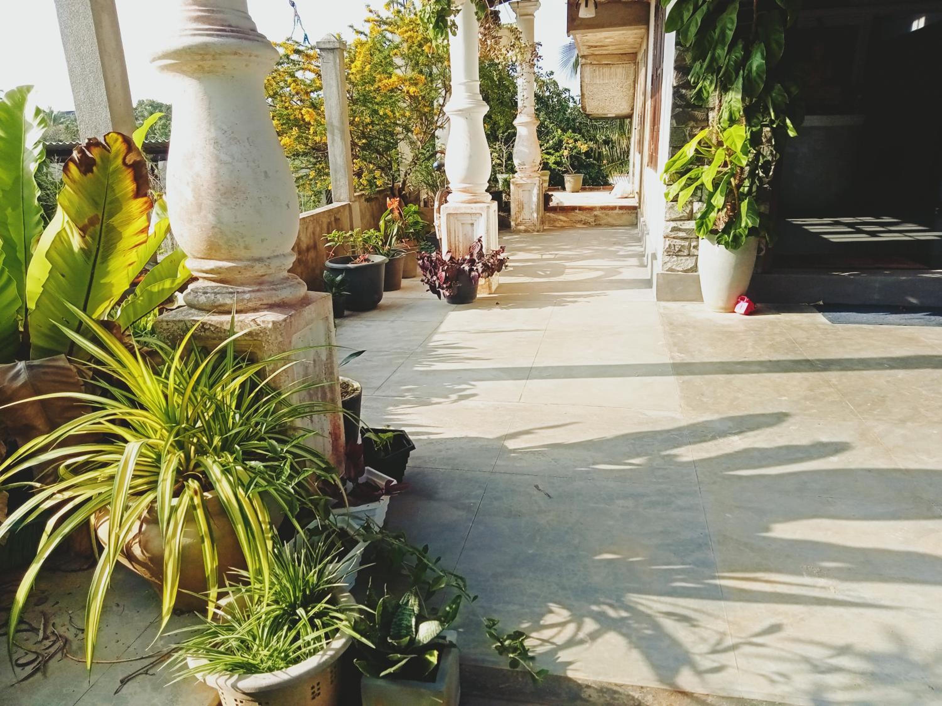 Sunrise Eco Resort view 3