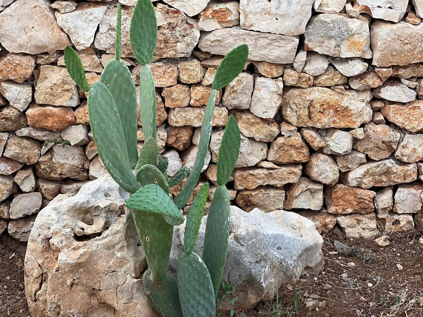 Dimora Caraspi