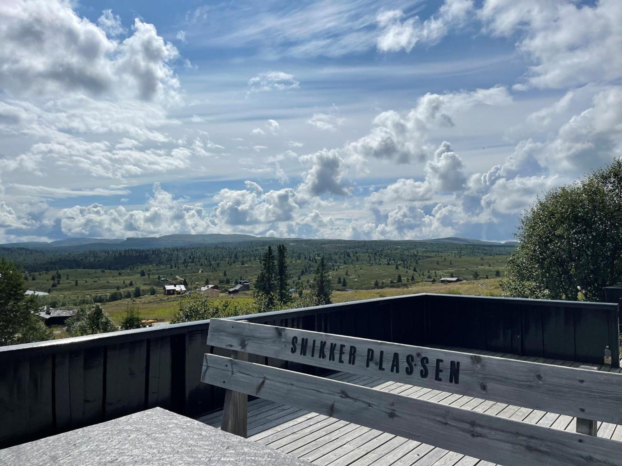 Snikkerplassen - cabin with amazing view and hiking opportunities view 3