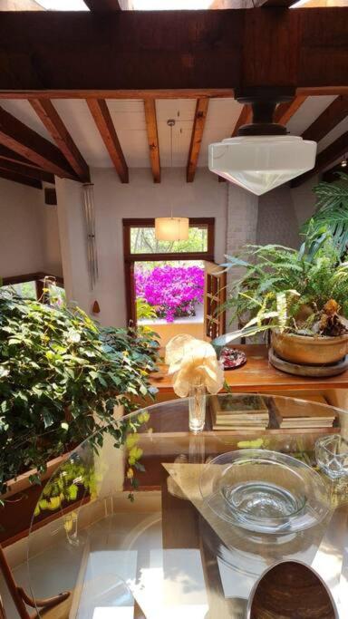 Casa Manguito view 2