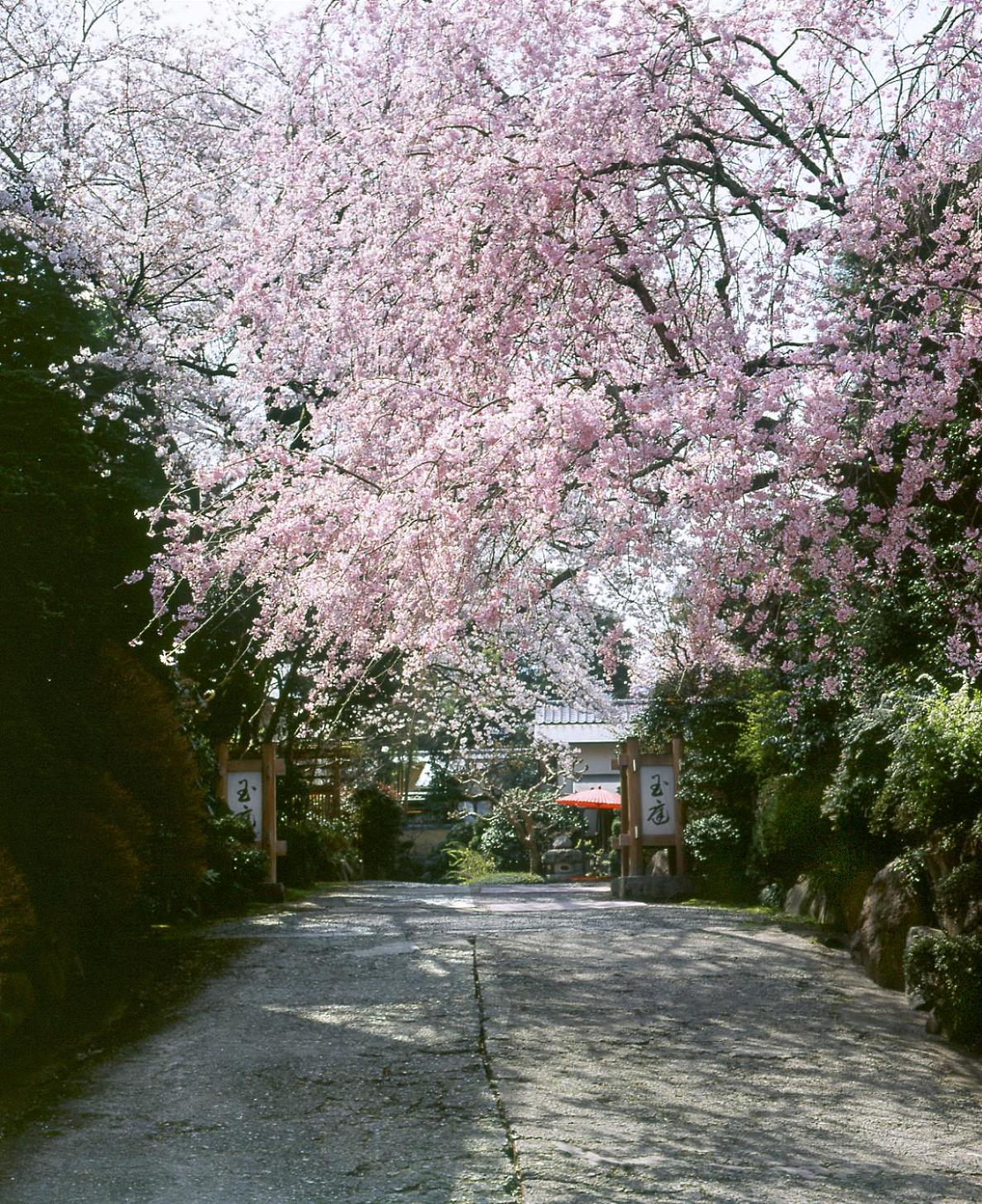 Gyokutei