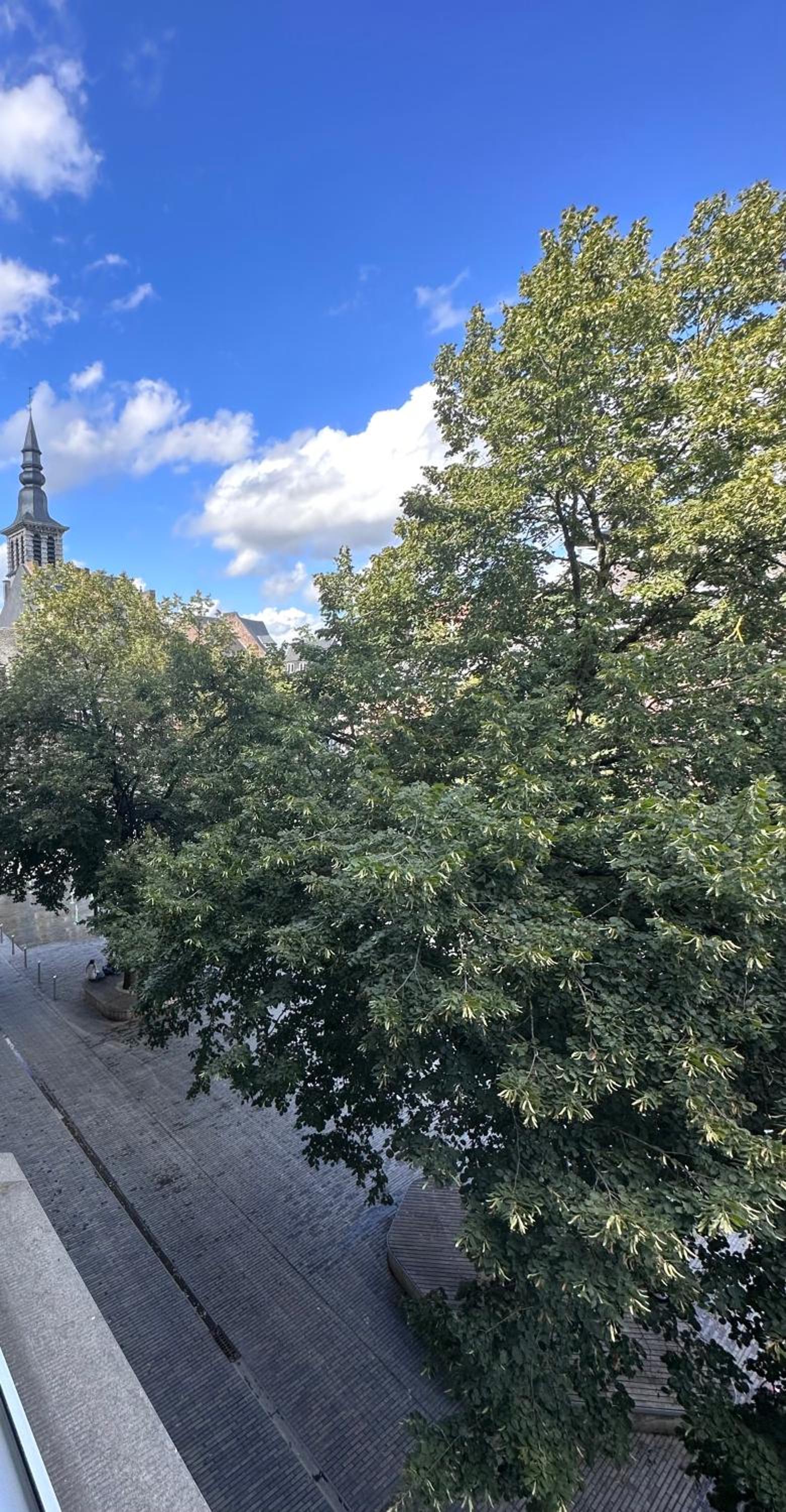 Maurice en ville n14