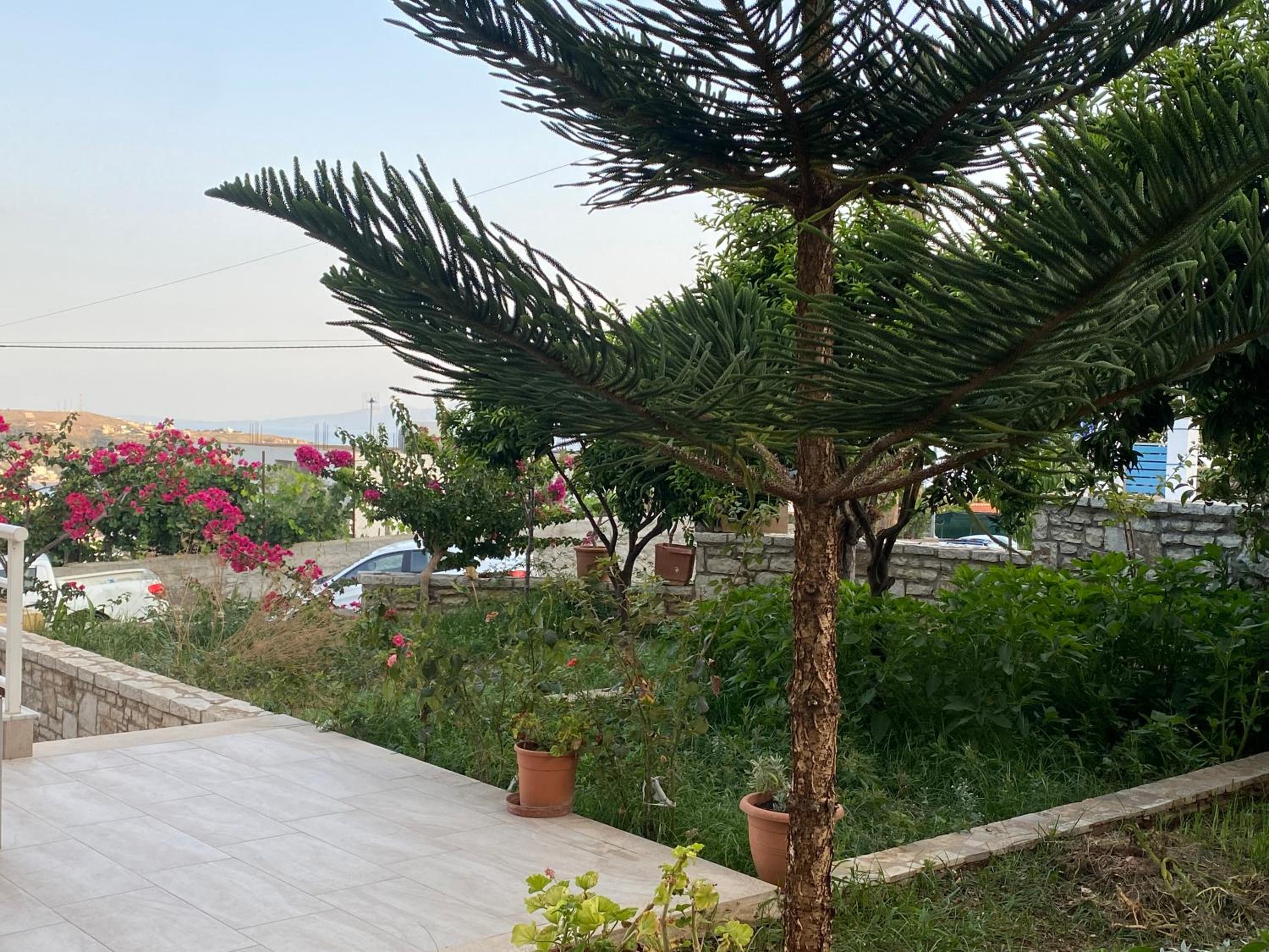 Foto Studios photo 2