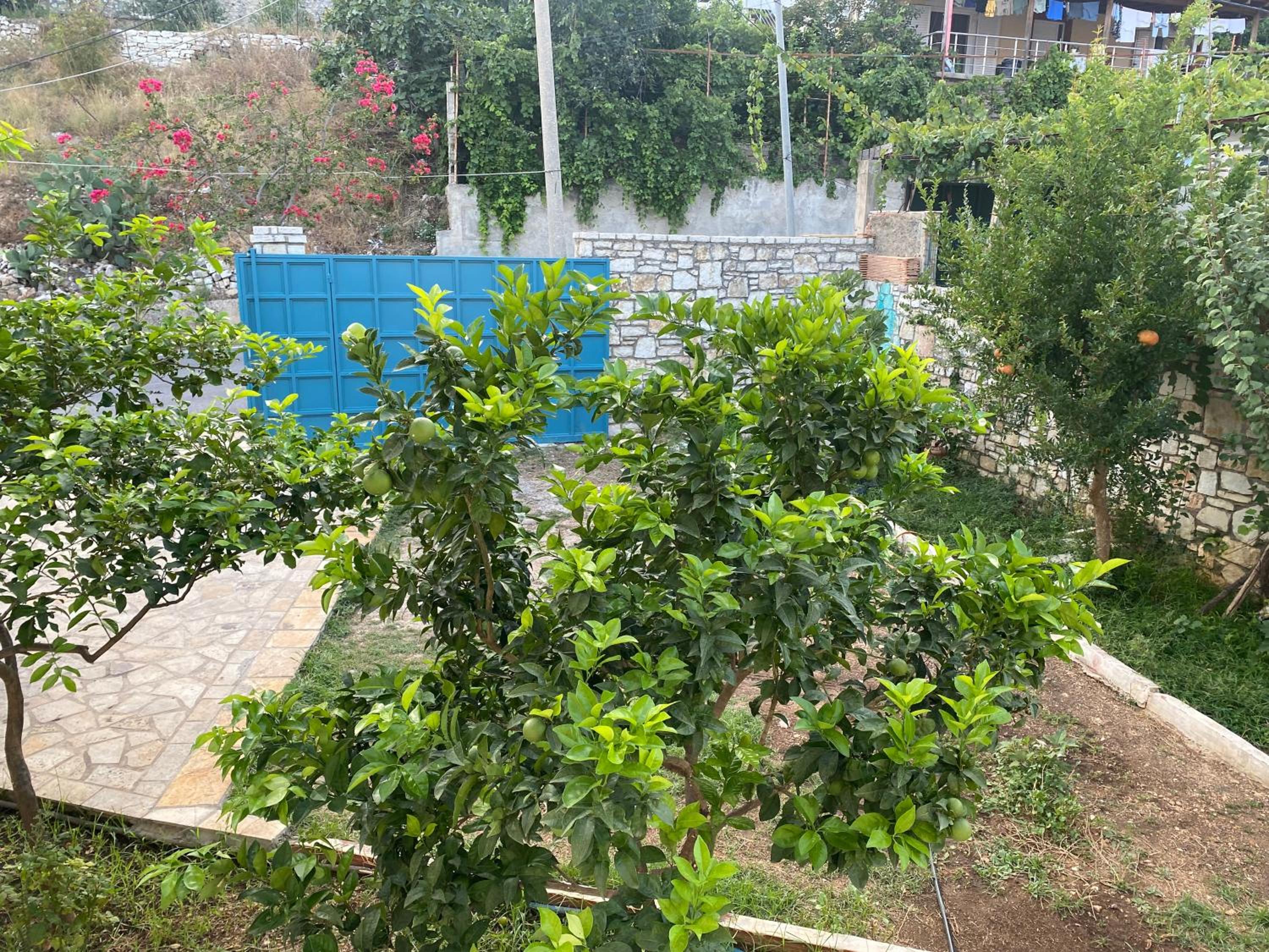 Foto Studios photo 3