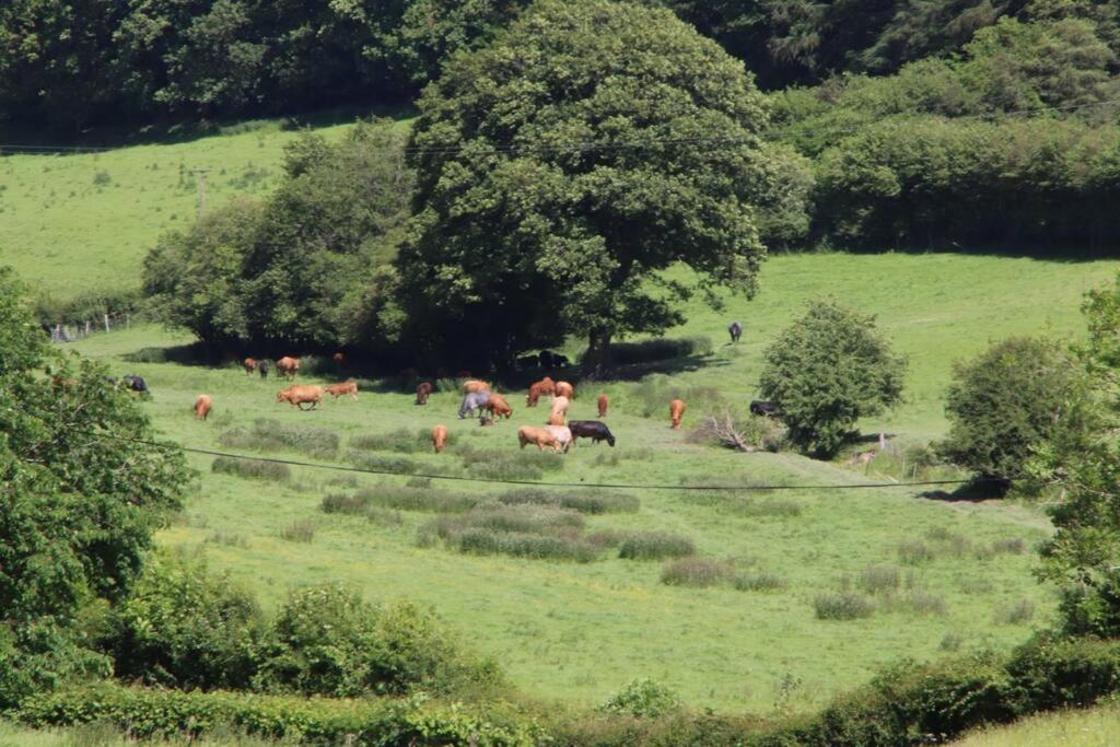 Garn Lodge
