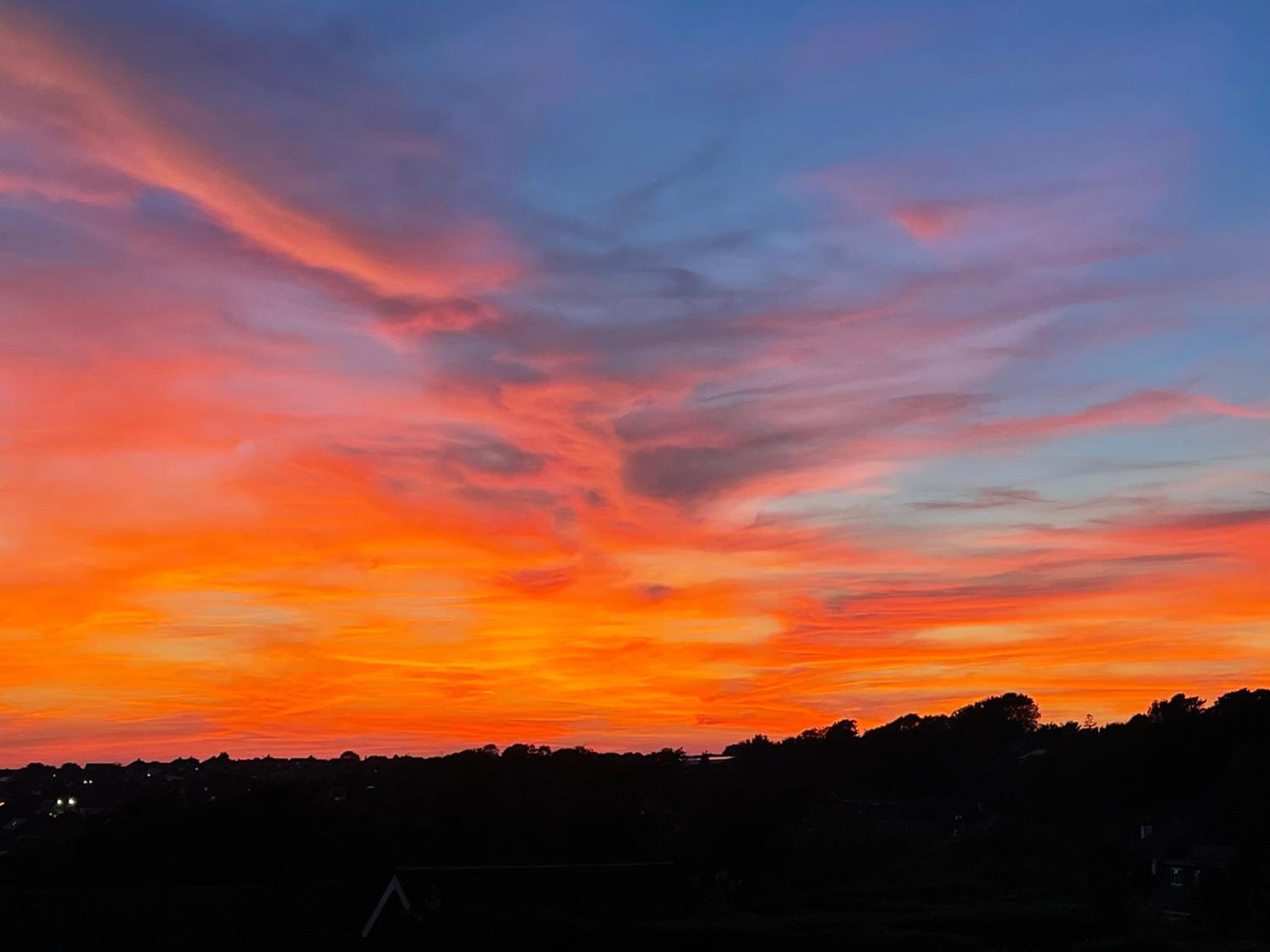 Luxury Apartment Brighton and South Downs National Park, Free Parking, animals on request daily fee