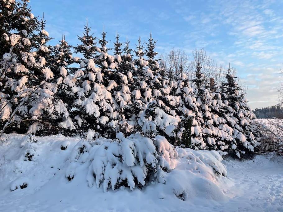 Chalupa Lučany