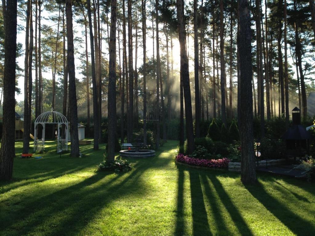 Villa Muusa with a cozy sauna, swimming pool and large beautiful garden
