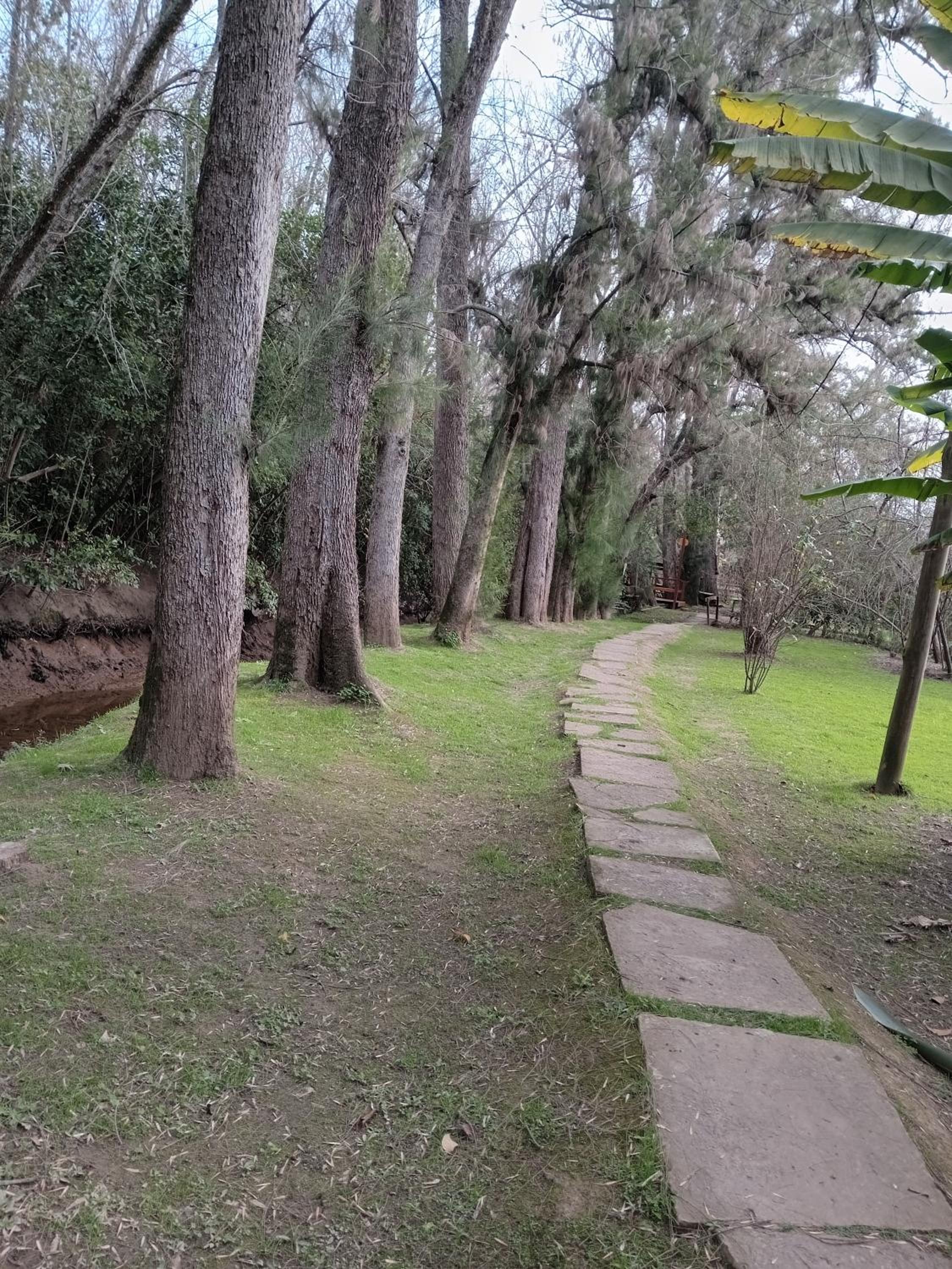 Cabaña La Paz