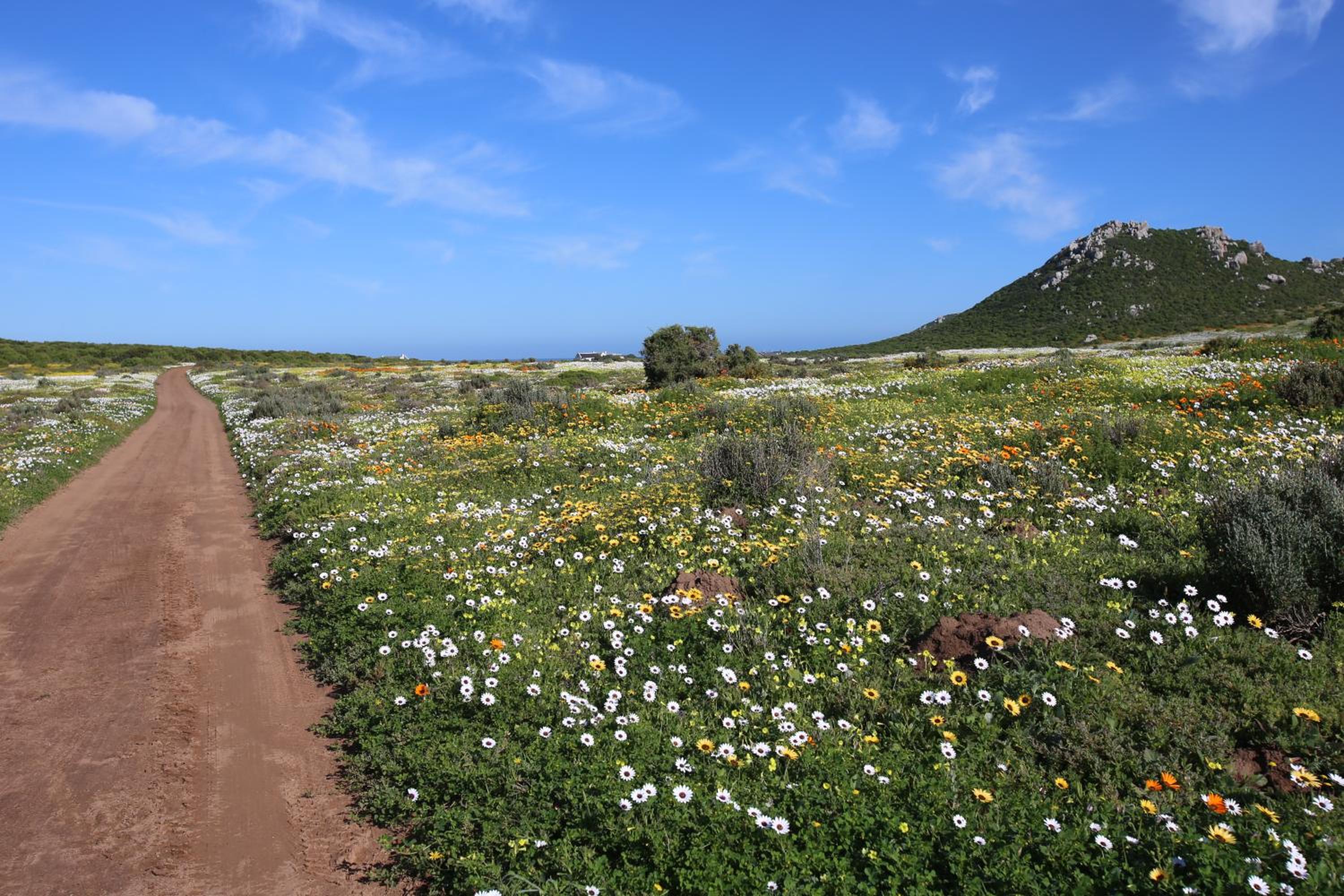 Kamen House, Langebaan, 4-sleeper view 5