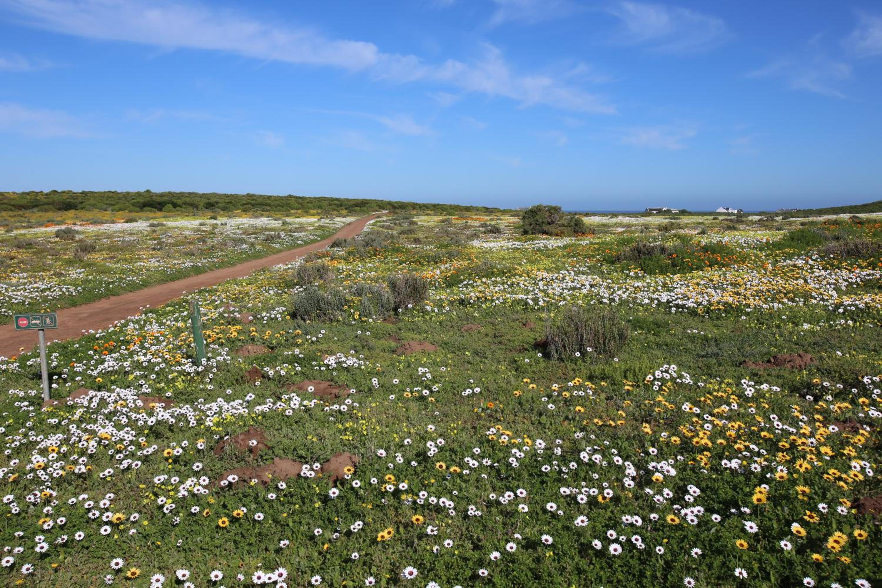 Kamen House, Langebaan, 4-sleeper view 4