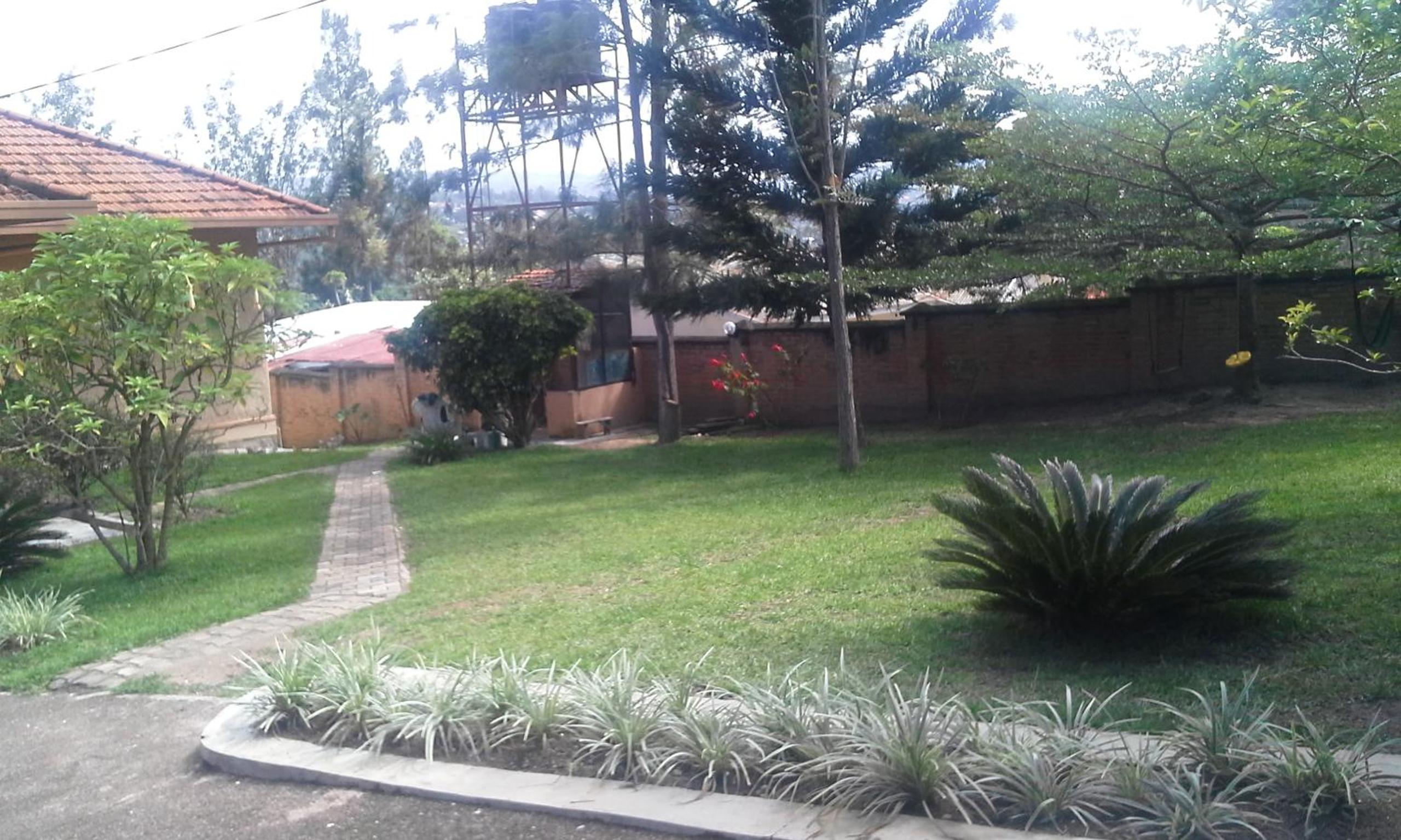 homy appartment