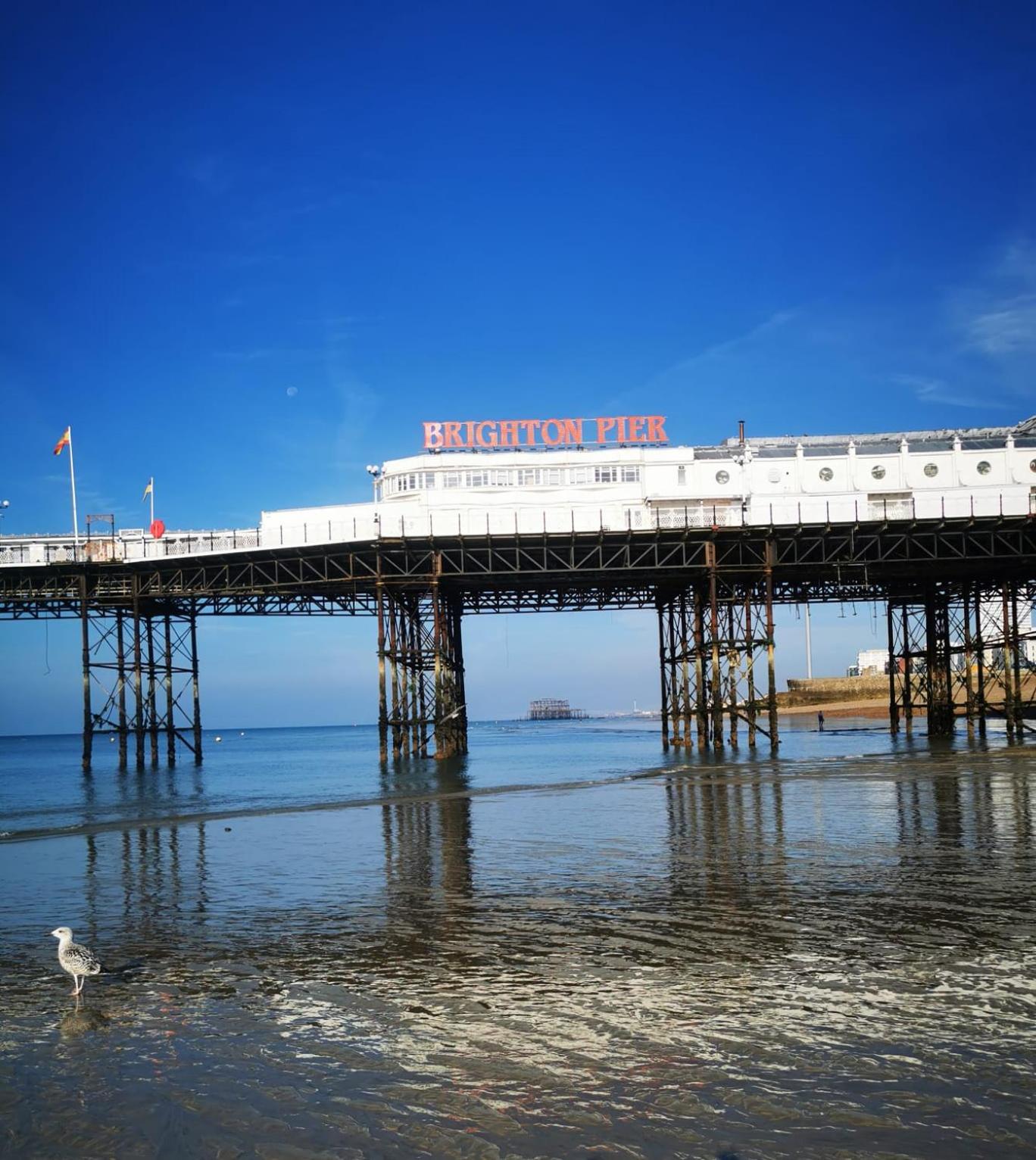 Luxury Apartment Brighton and South Downs National Park, Free Parking, animals on request daily fee