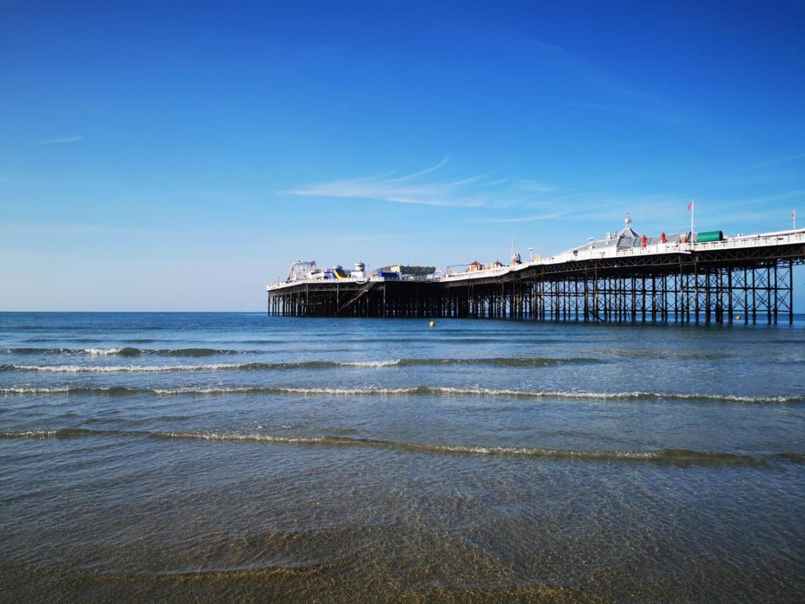Luxury Apartment Brighton and South Downs National Park, Free Parking, animals on request daily fee