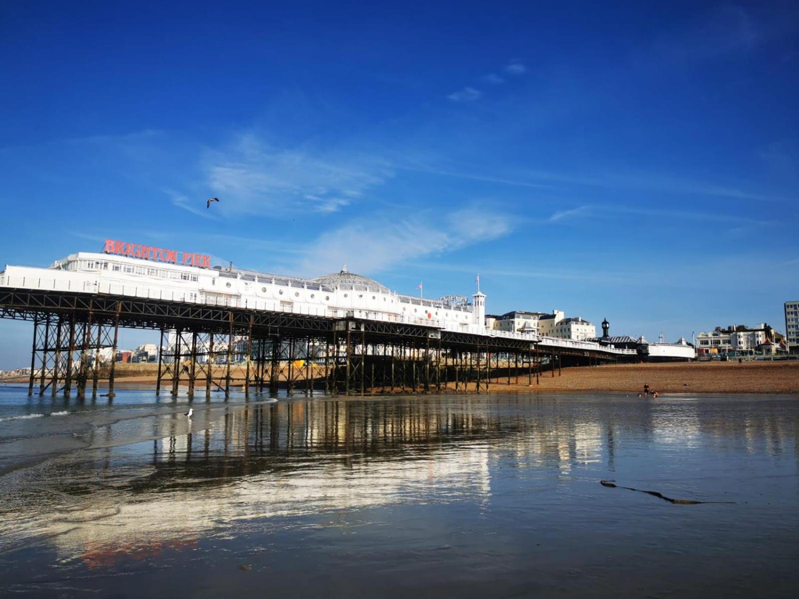 Luxury Apartment Brighton and South Downs National Park, Free Parking, animals on request daily fee