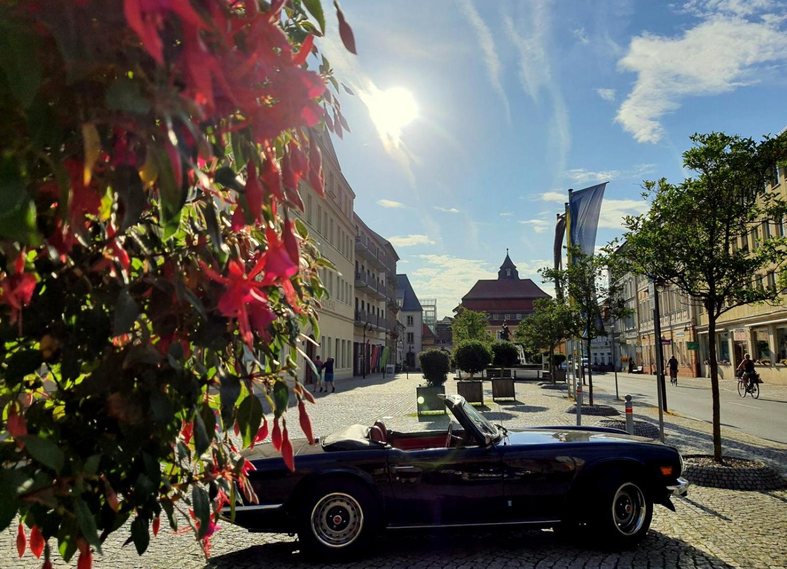 ArtHouse Bad Schandau