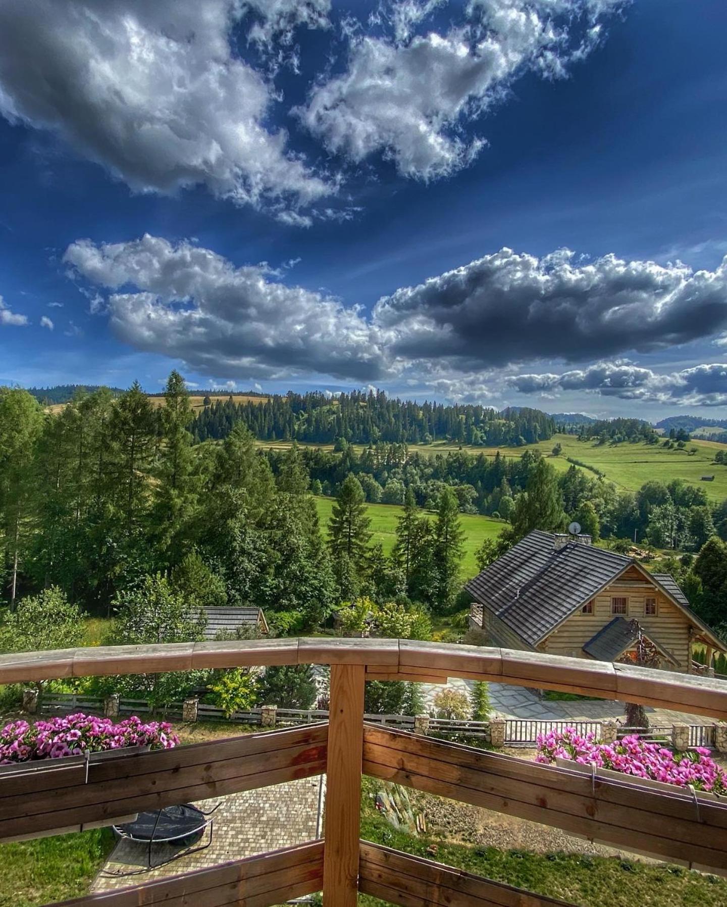 Dziejba Leśna Apartamenty &Spa - piękne i nowe apartamenty i domek, sauna i jacuzzi - W CENIE I NA WYLACZNOŚĆ, 1 km od stoku