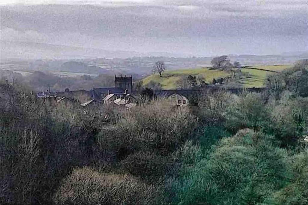 Photo 45