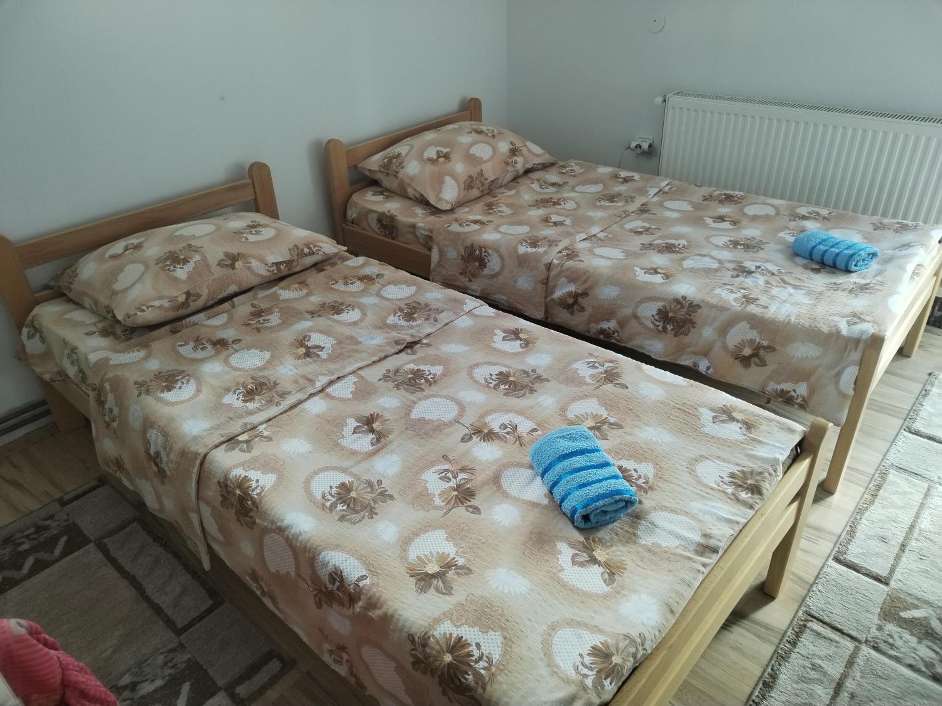 Vikendica Jezdić view 3