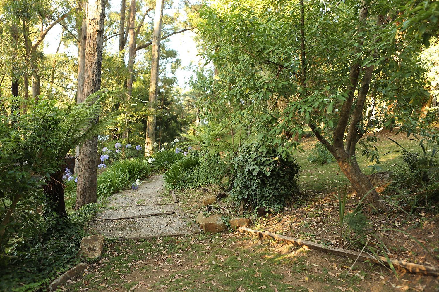 Photo 11