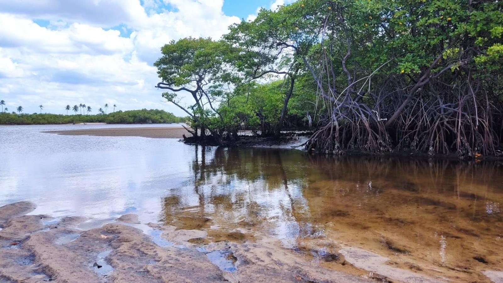 Suite Fogo - A Casa 9 Lilás em Barra de Jacuipe