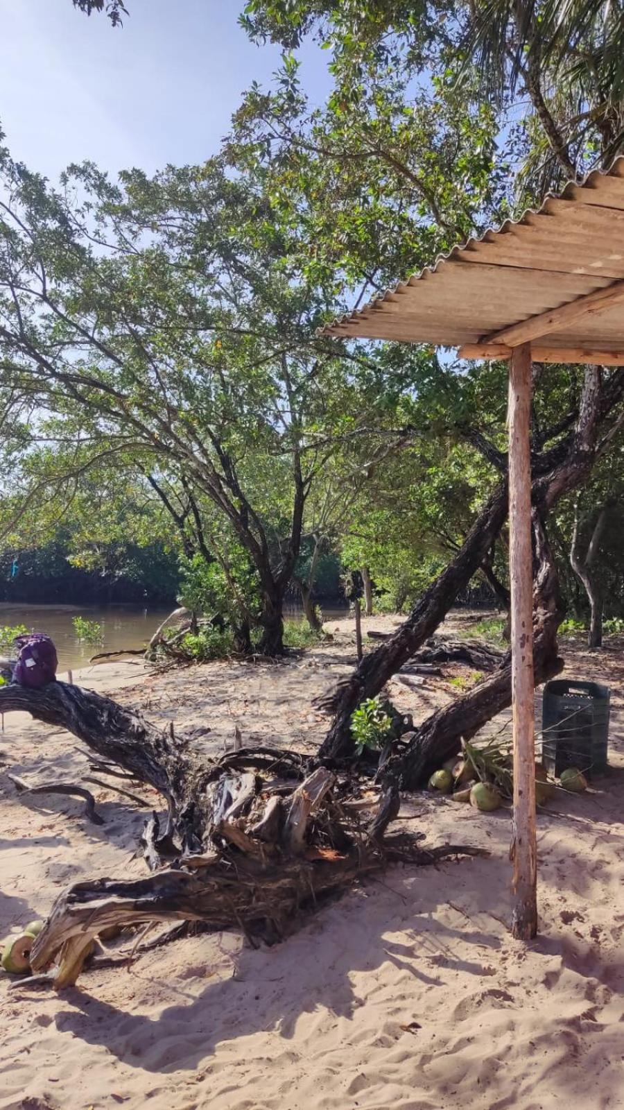 Suite Fogo - A Casa 9 Lilás em Barra de Jacuipe