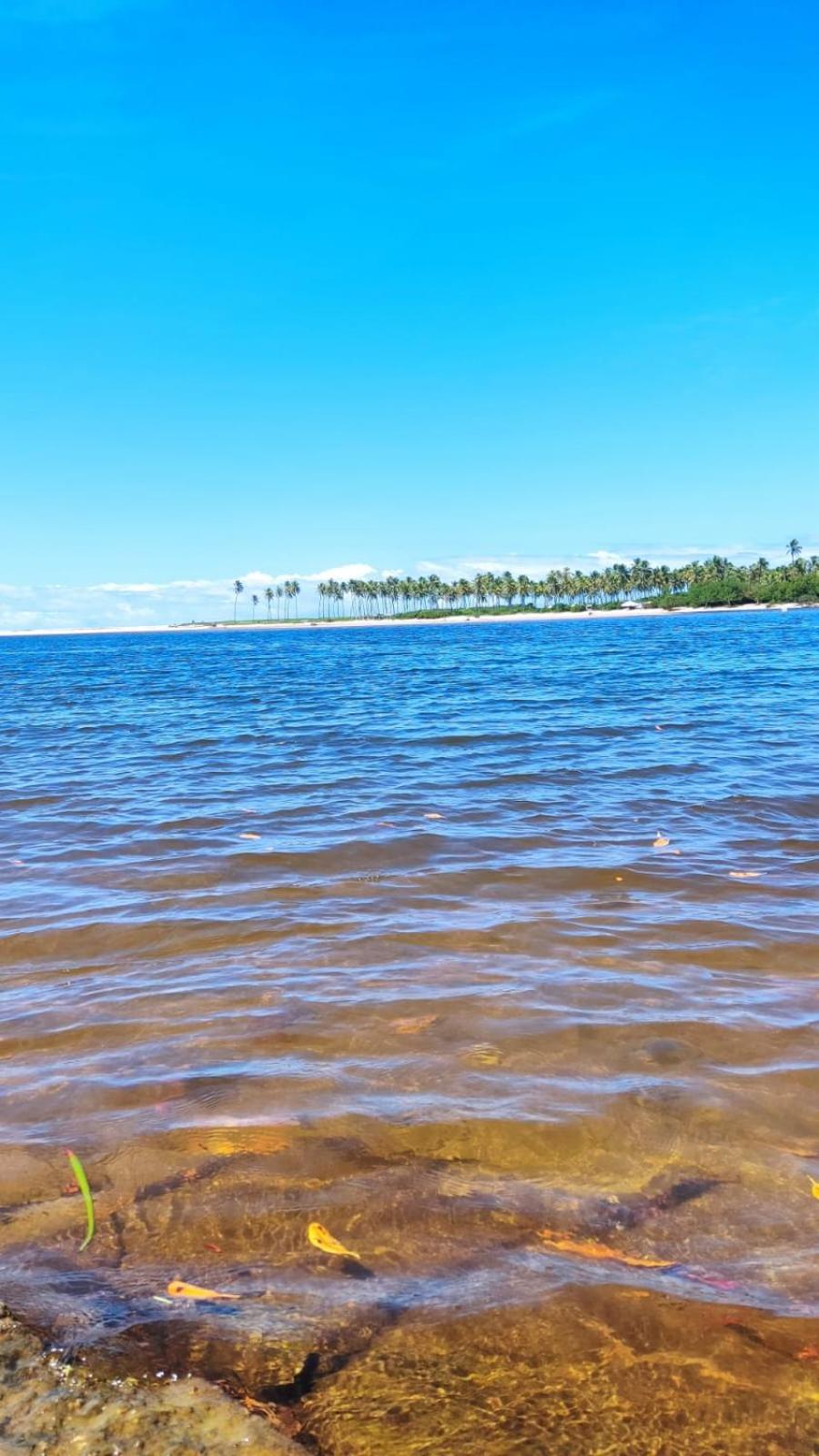 Suite Fogo - A Casa 9 Lilás em Barra de Jacuipe