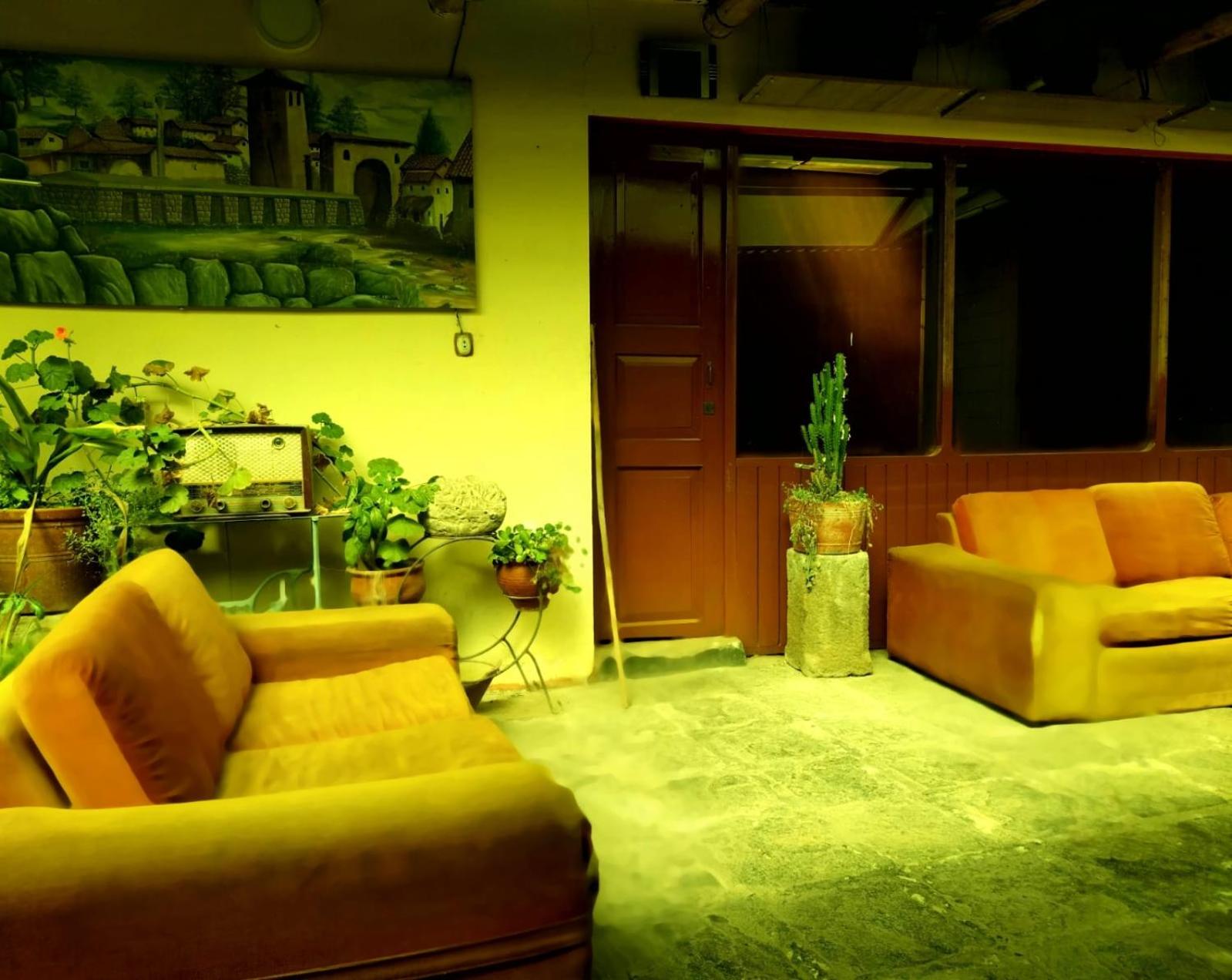 Photo 38