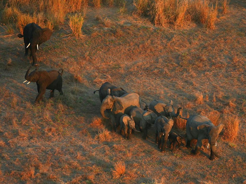 Montebelo Gorongosa Lodge & Safari