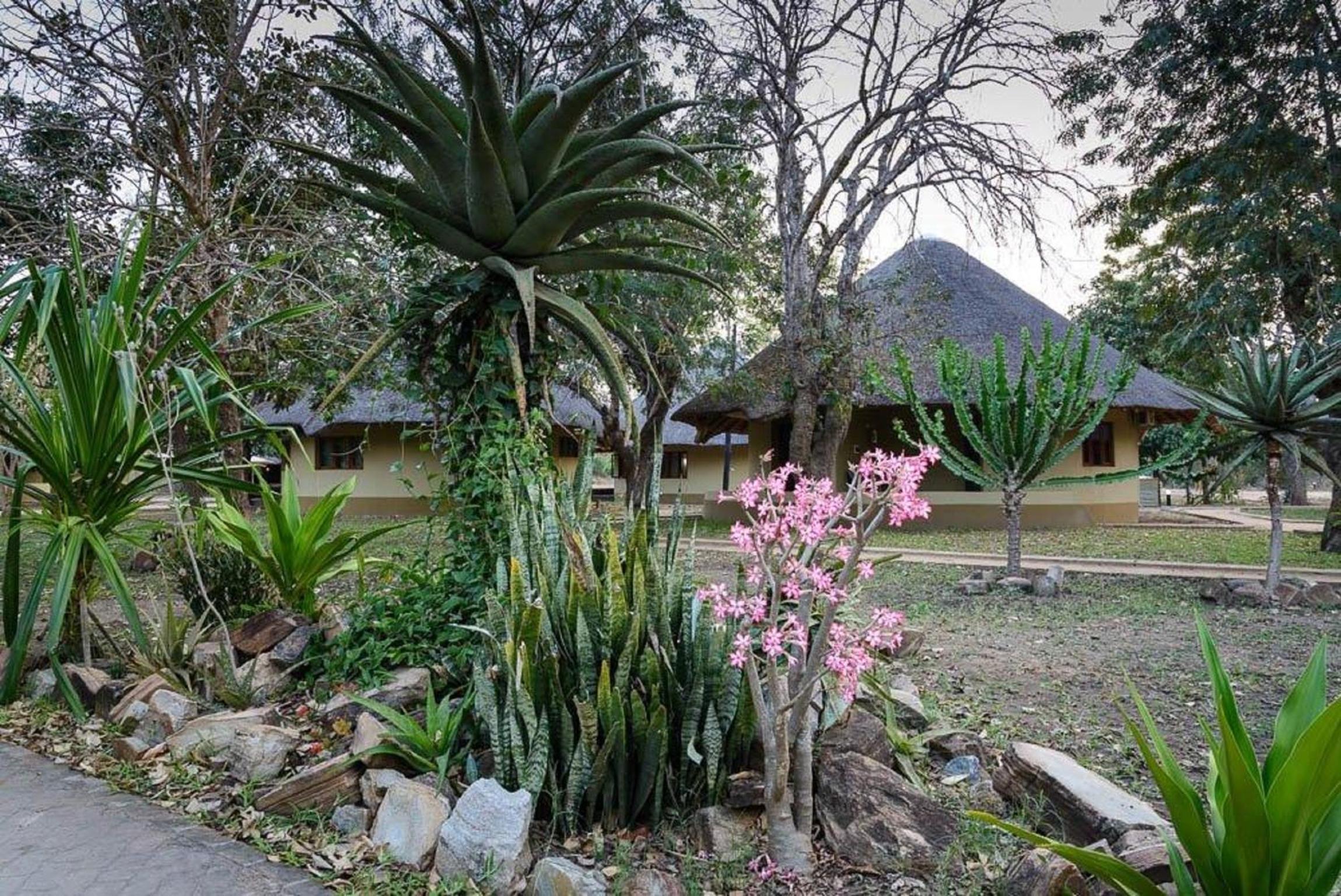 Montebelo Gorongosa Lodge & Safari