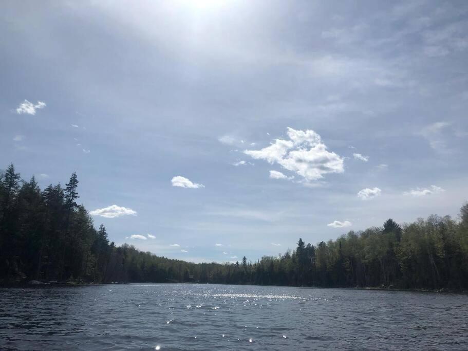 Chalet L'Écureuil (waterfront, modern, spa, BBQ)