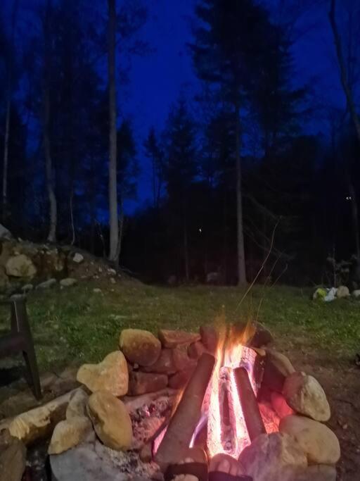Chalet L'Écureuil (waterfront, modern, spa, BBQ)