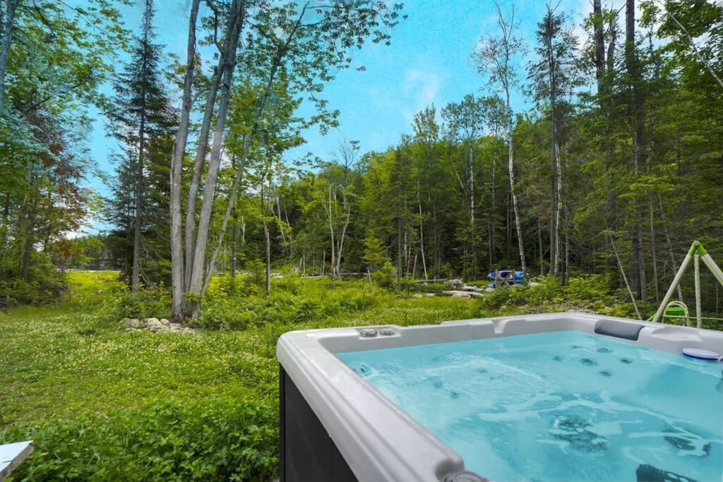Chalet L'Écureuil (waterfront, modern, spa, BBQ)