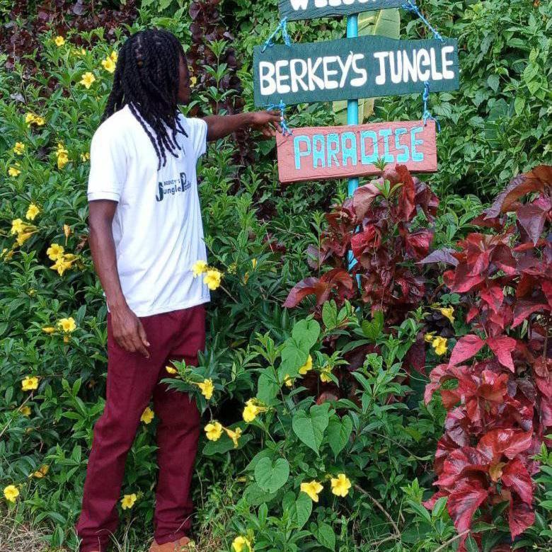 Berkey's Jungle Paradise Resort