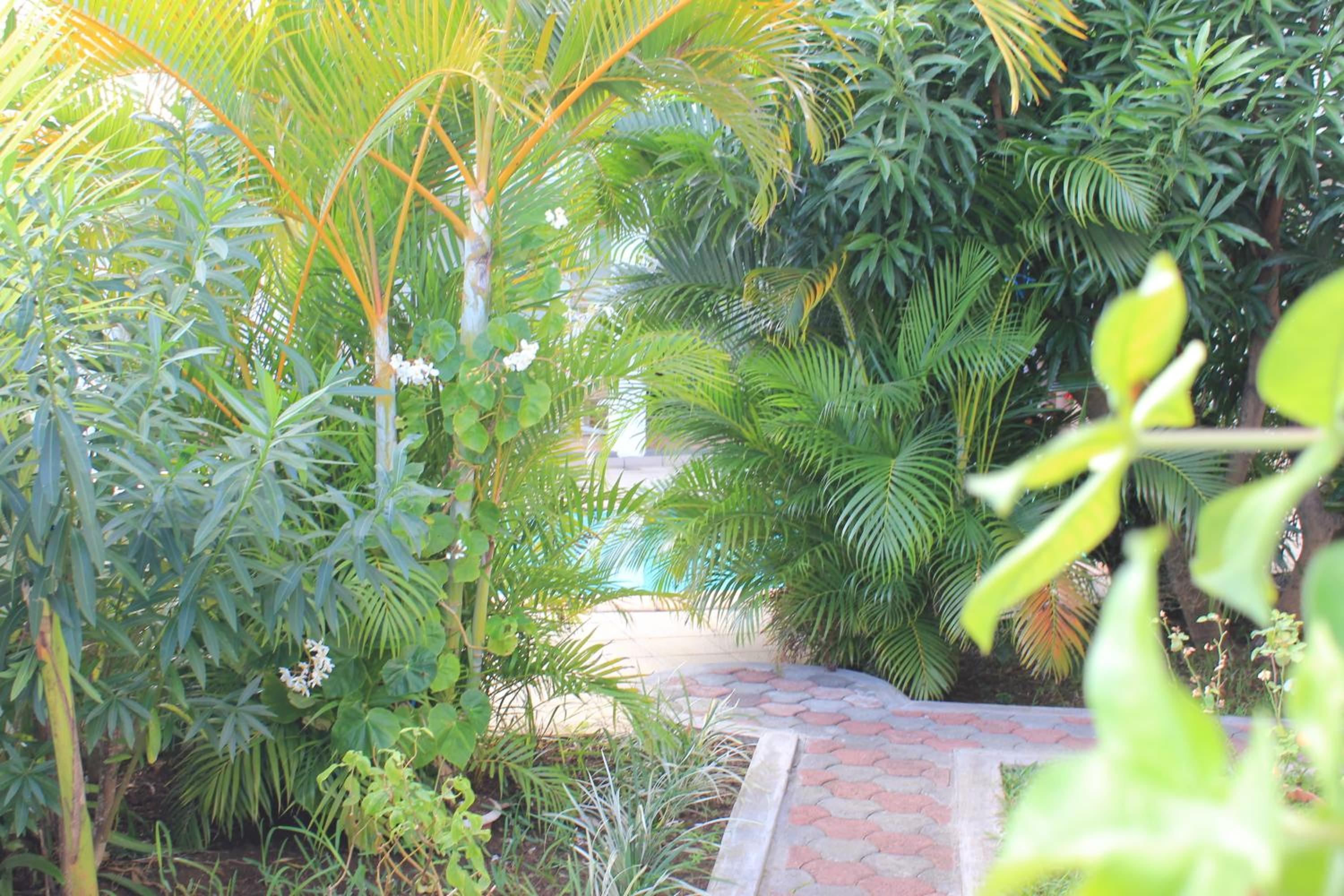 Photo 47