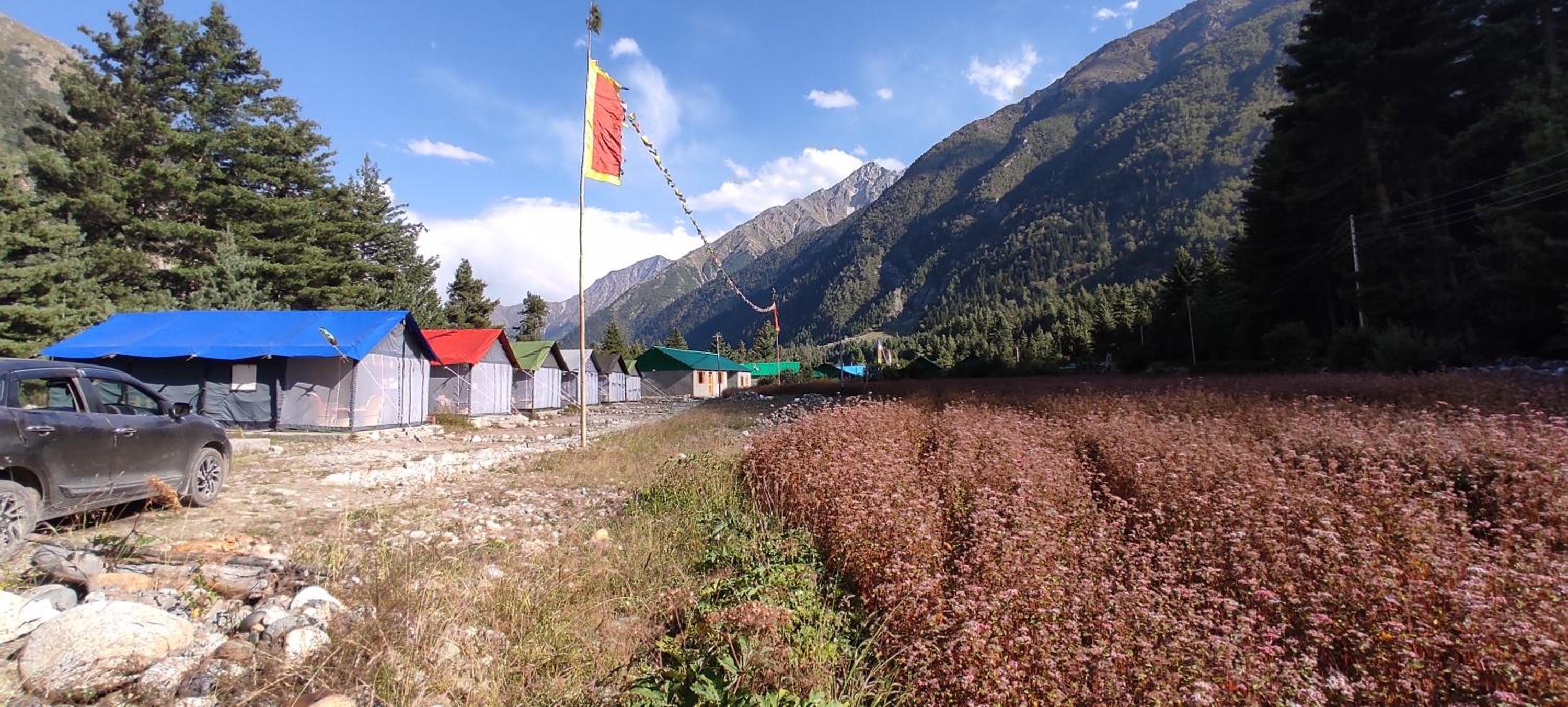 Sangla Valley Camping
