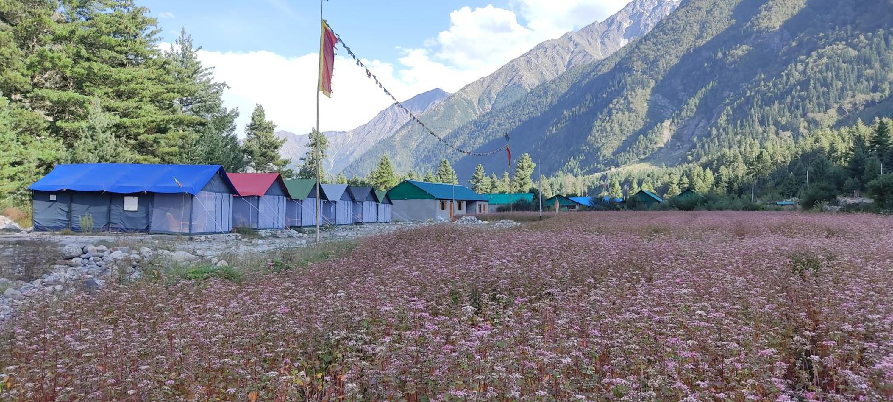 Sangla Valley Camping