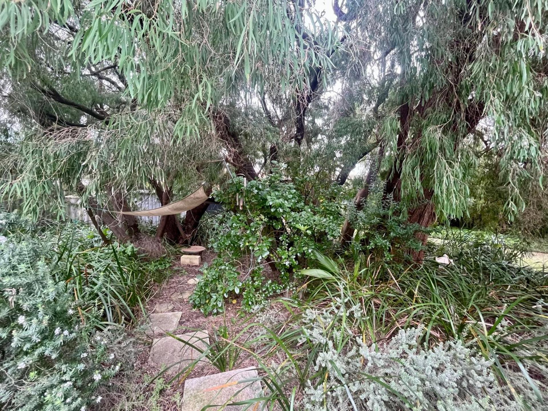The Orchid Courthouse - Busselton