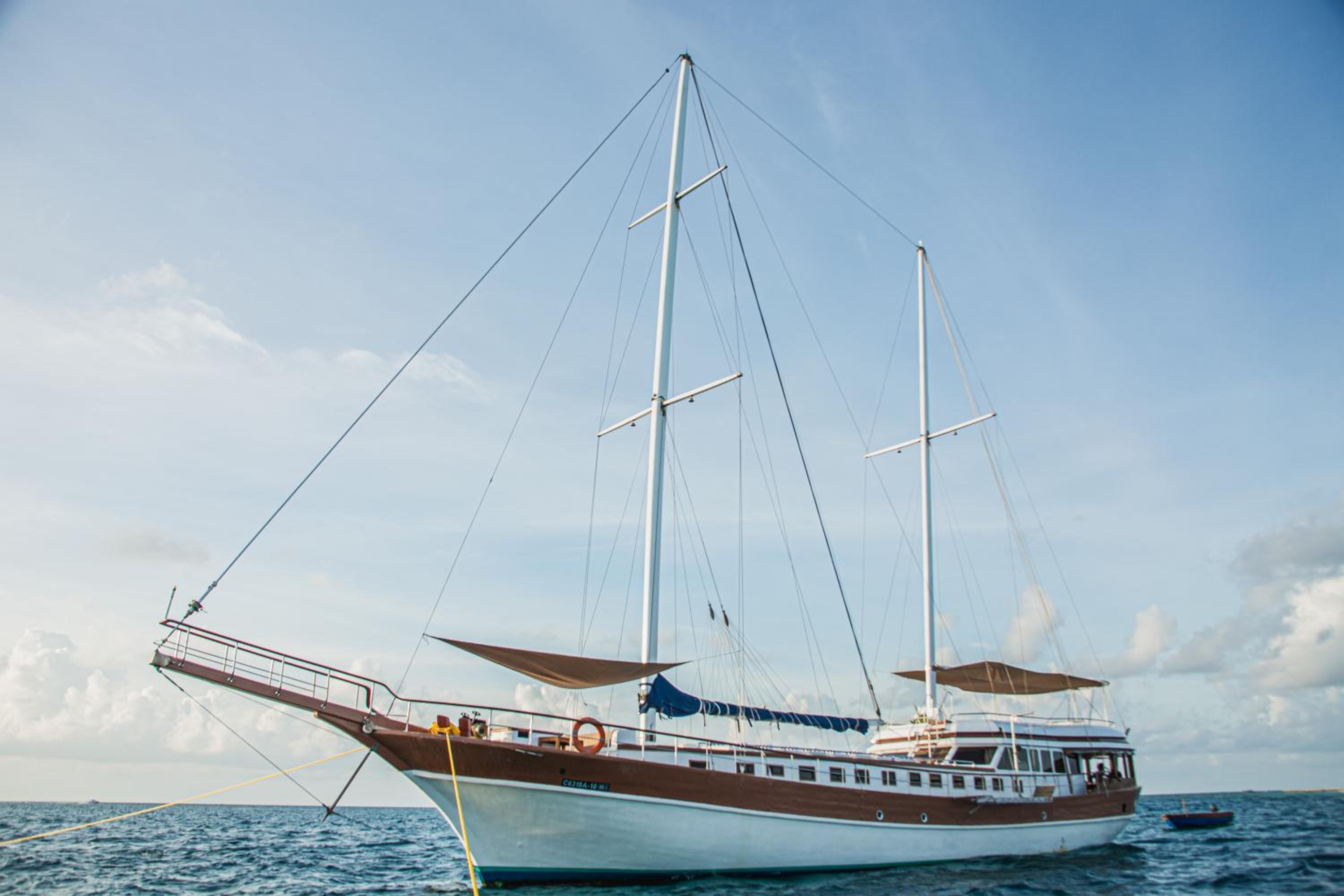 Akoya Pearl view 5
