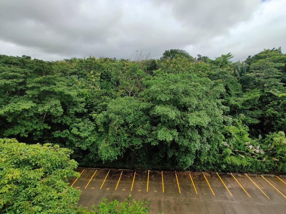 Condo en Jacó