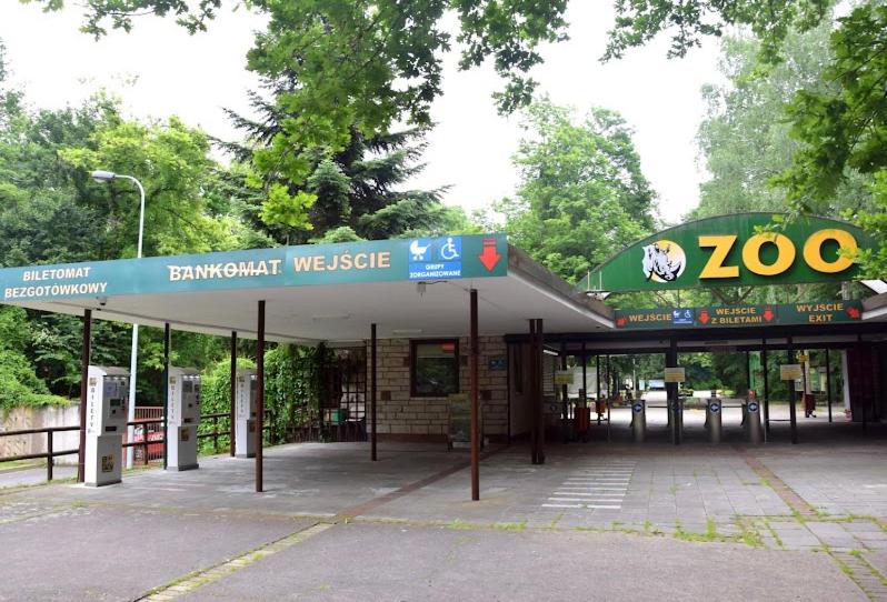 Apartament Czytelnia - parking gratis