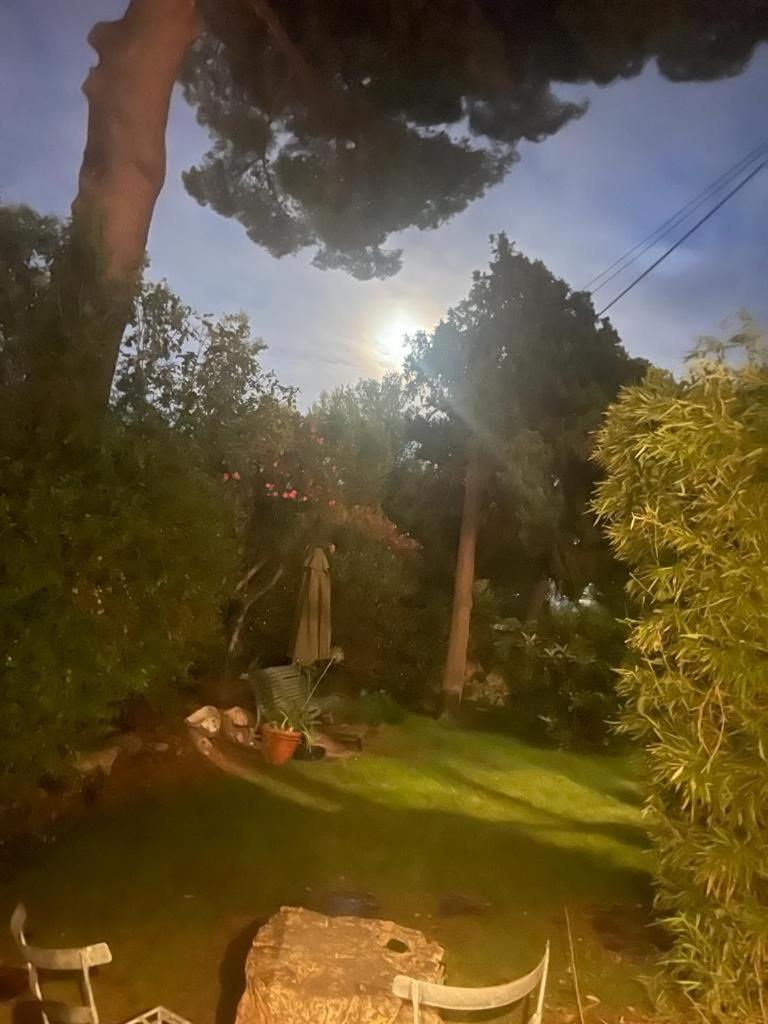Photo 34