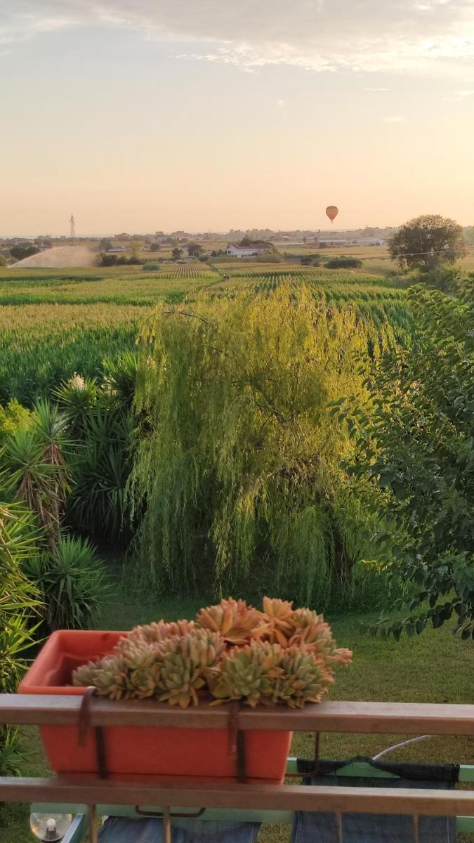 Le Colline di Paestum view 3