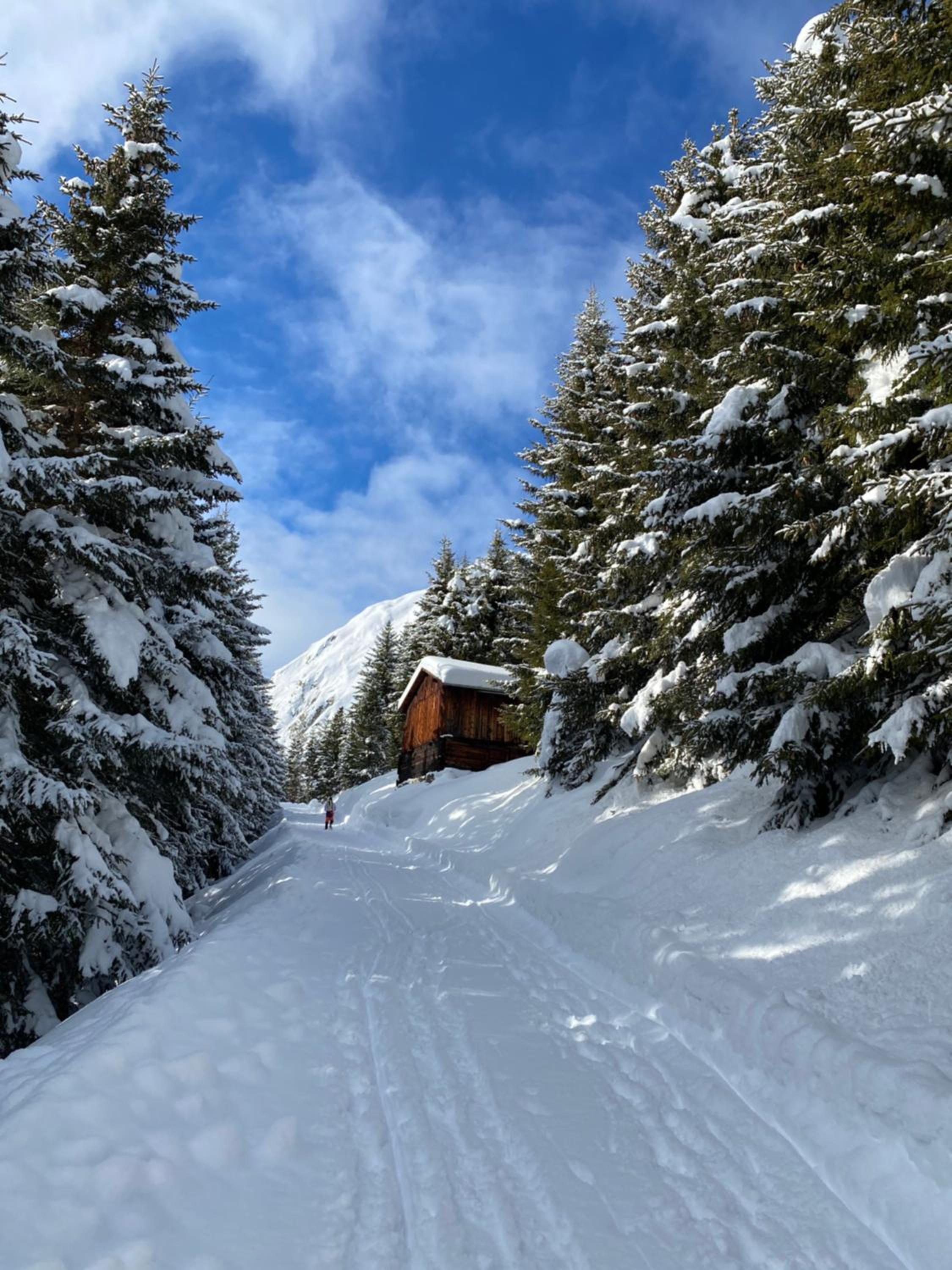Mountain Getaway Sedrun
