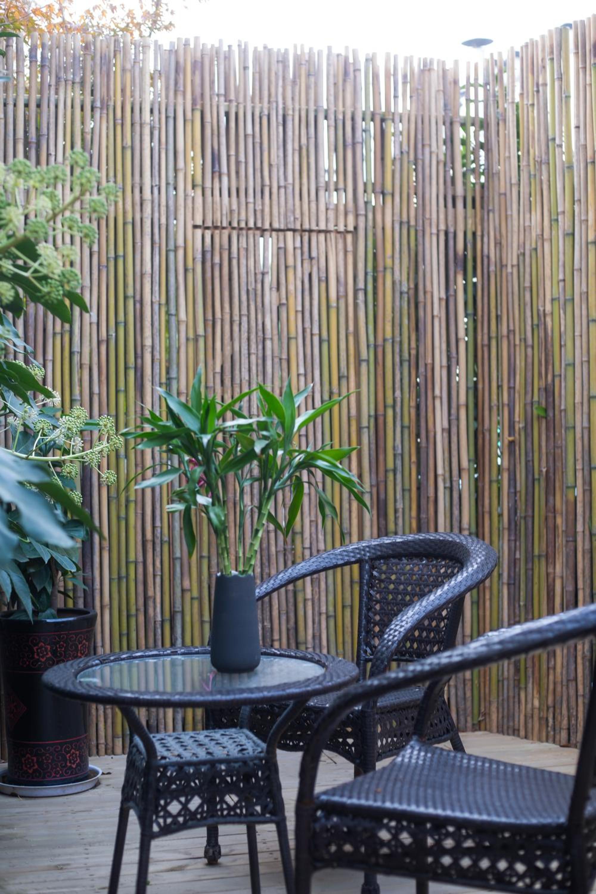 Tingjian Musu Private Soup Design Homestay - South Gate of Wuzhen Xizha Scenic Area